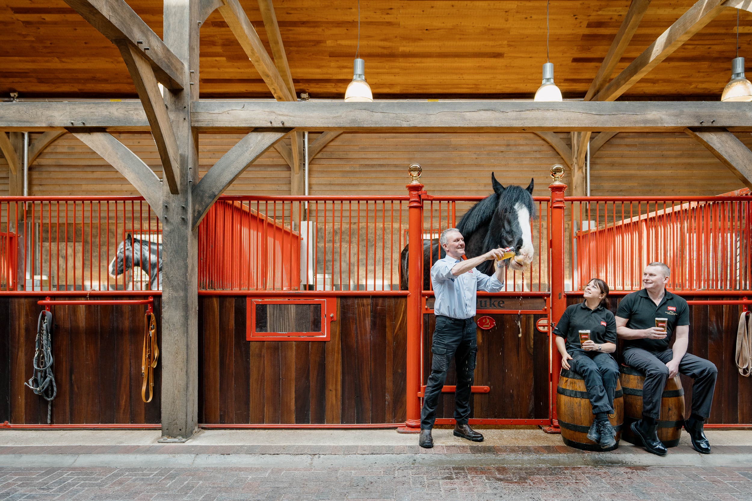 A stableman with a Shire horse and two brewery workers taking a beer break in a heritage brewery yard