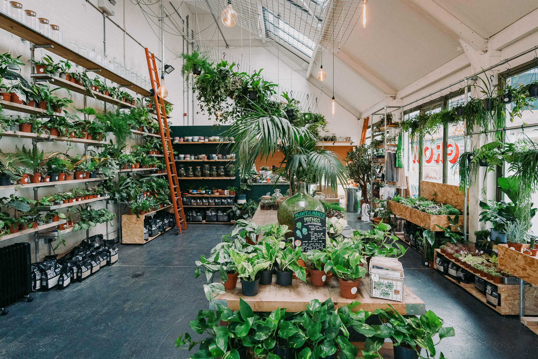 Plant-filled café dining room with banquette seating, hospitality interior