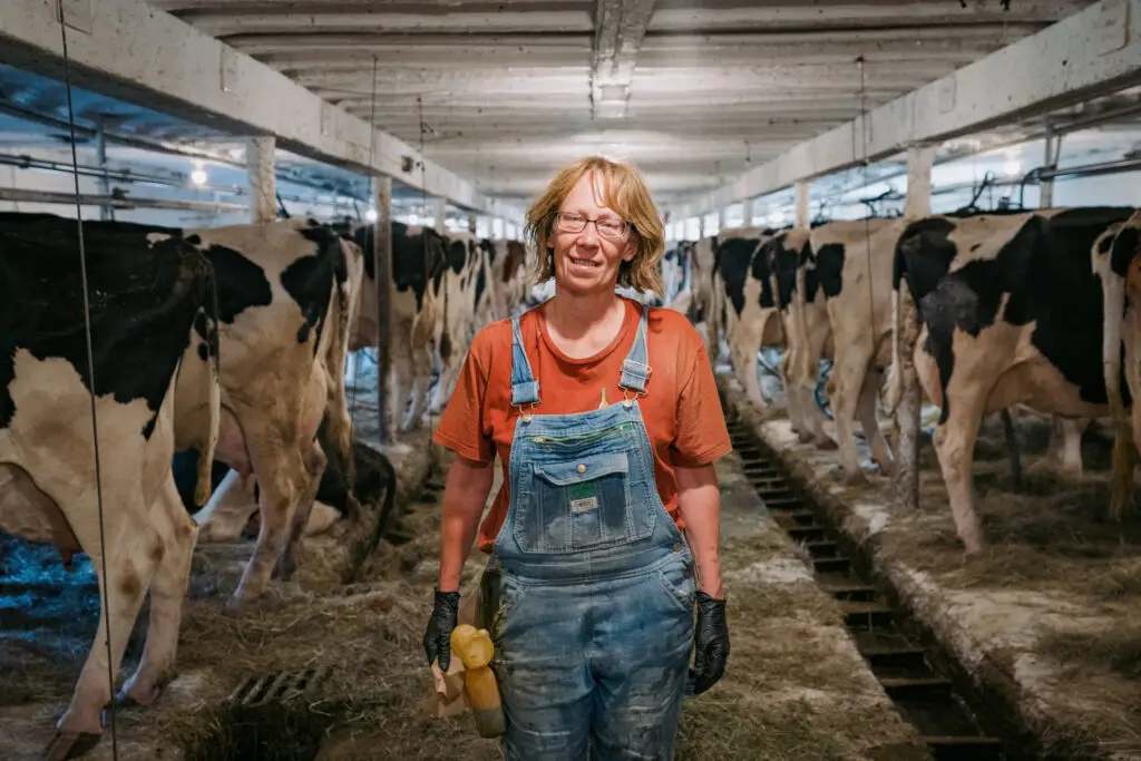 A farmer in a a cow shed